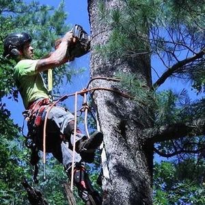 Meet your Posher, A.j.